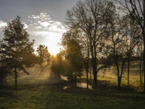 Bocage Automne