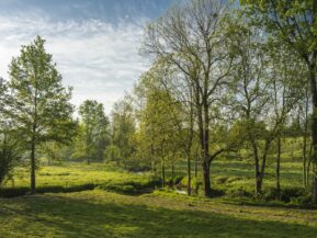 Bocage Printemps