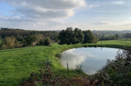 Biodiversity pond