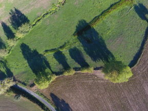 Photo drone ombres arbres