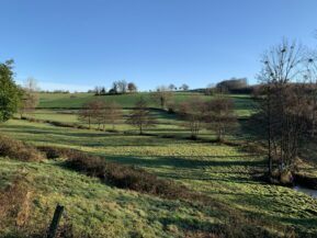 Prairie humide panorama hiver