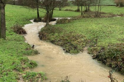 Creek in flood