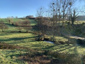 Prairie humide ruisseau