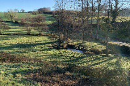 Wet meadow stream