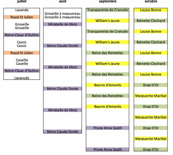 Orchard planting plan